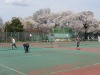 Photo_8
